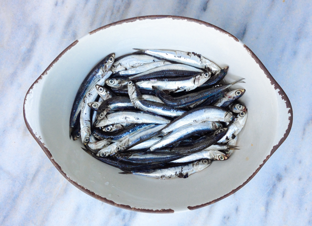 MarinatedAnchovies-620-1