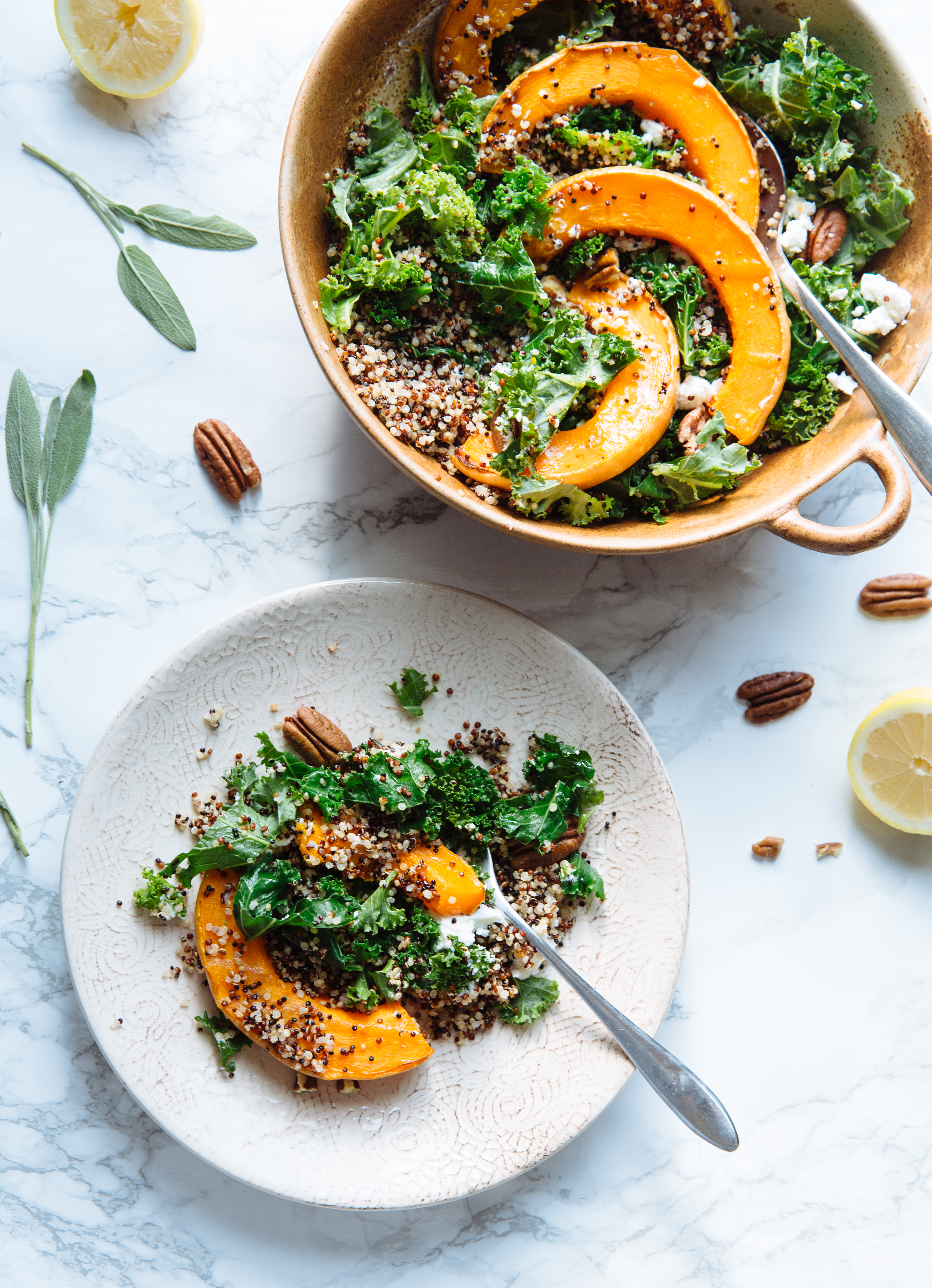 Coquina squash, quinoa & goat cheese salad