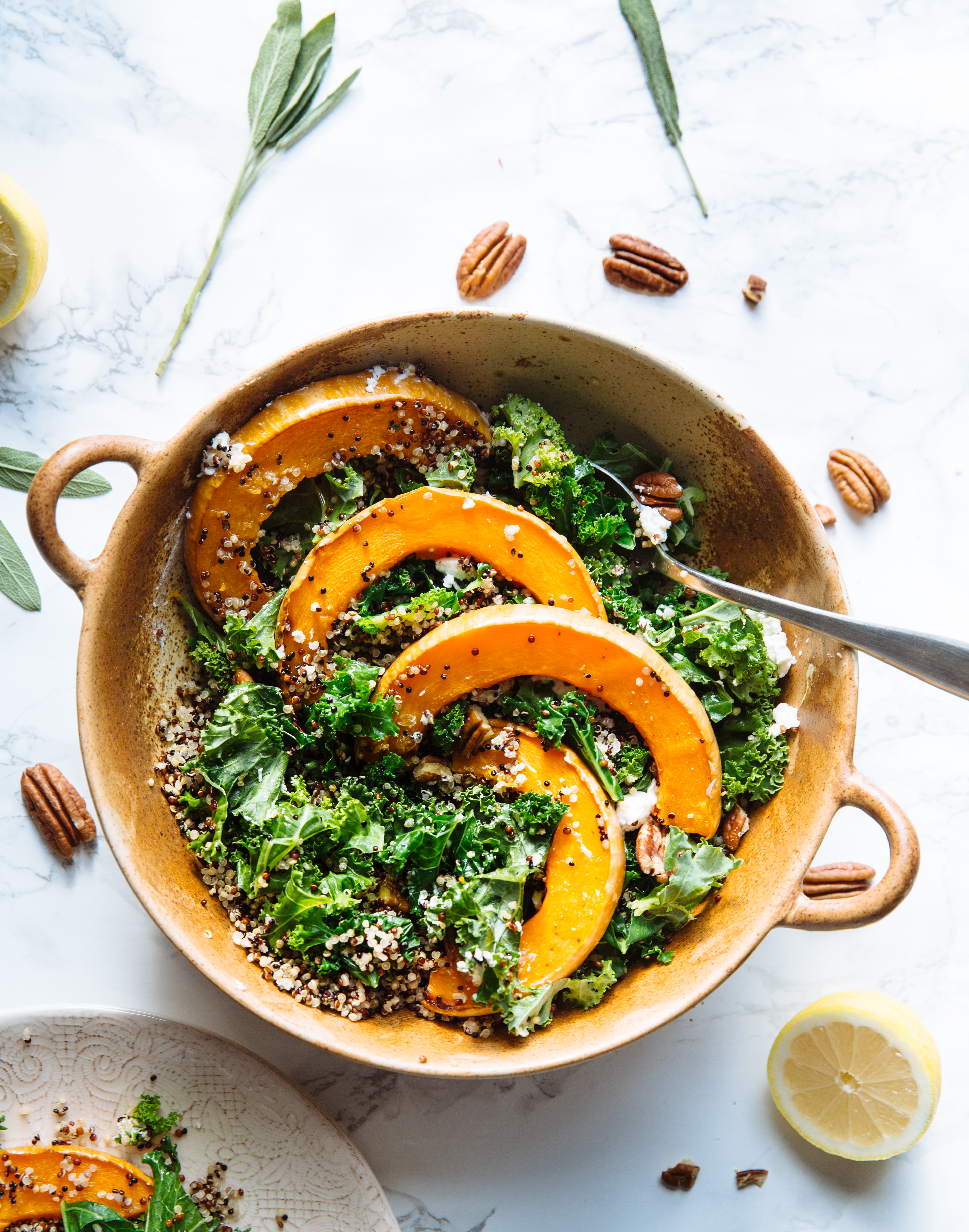 Coquina squash, quinoa & goat cheese salad