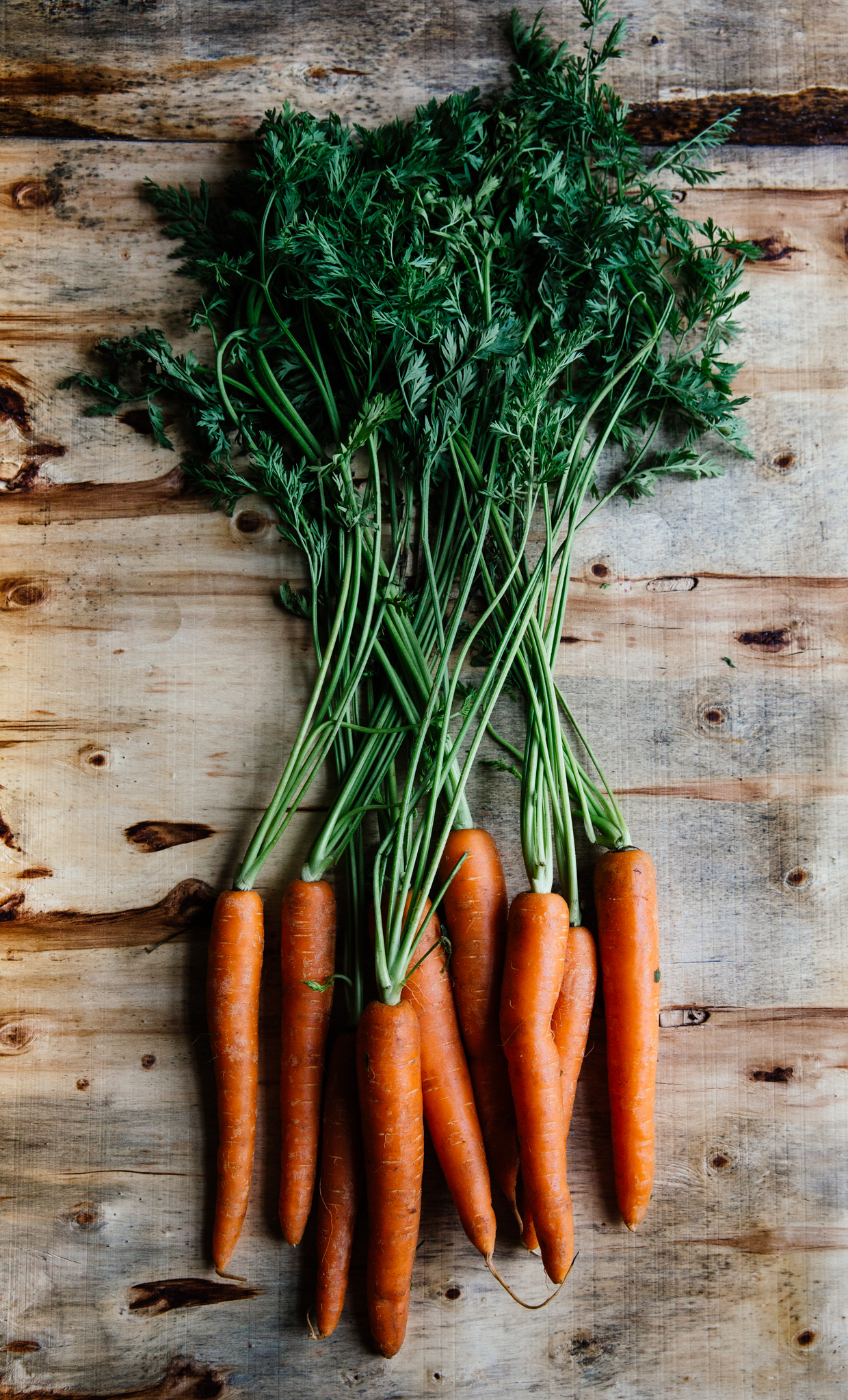 Carrot soup with buttermilk & grape molasses 