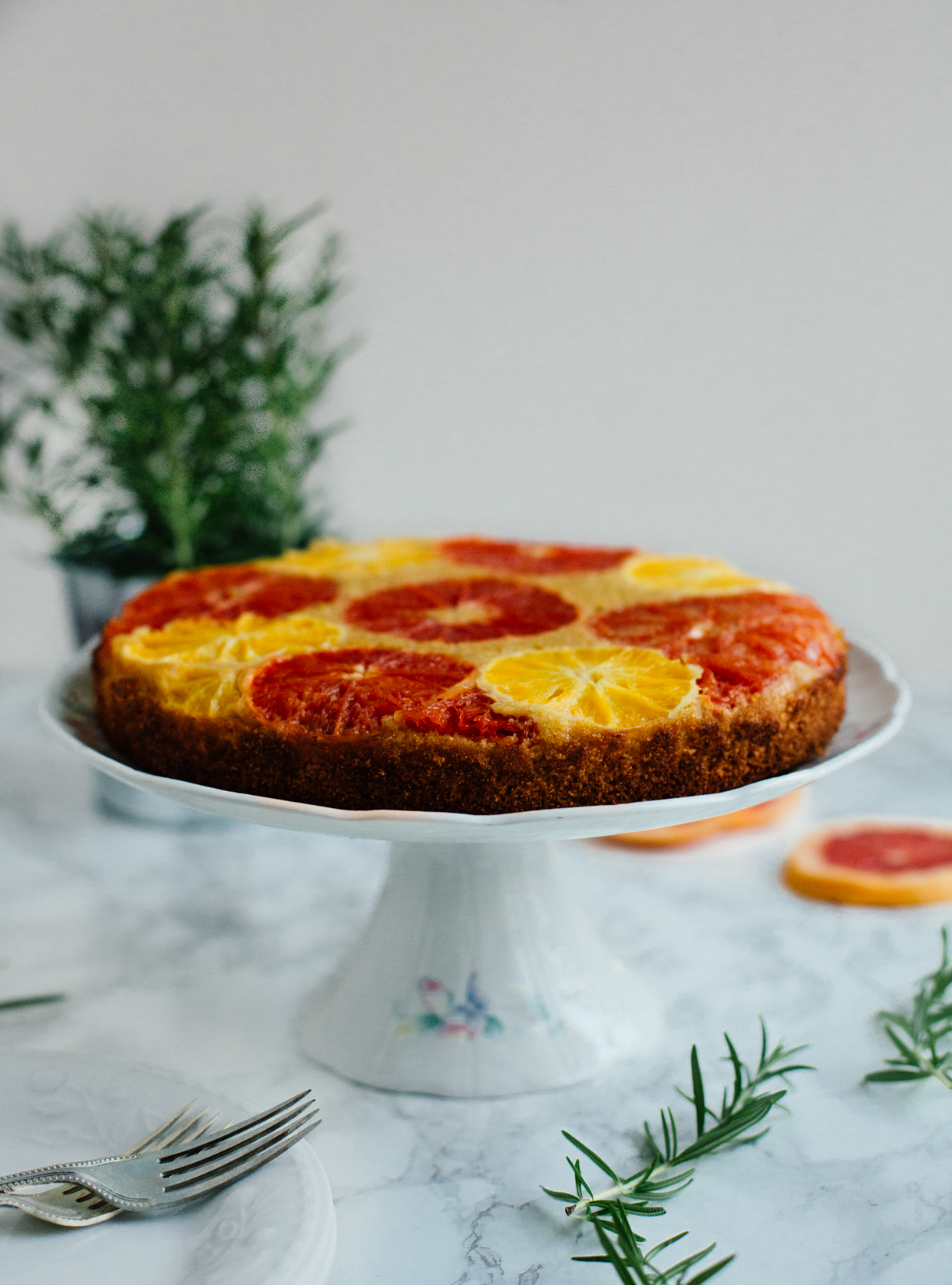 Citrus & rosemary olive oil polenta cake